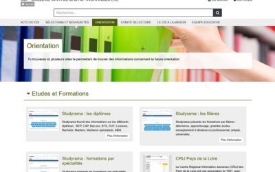 CDI et Orientation : les sites utiles